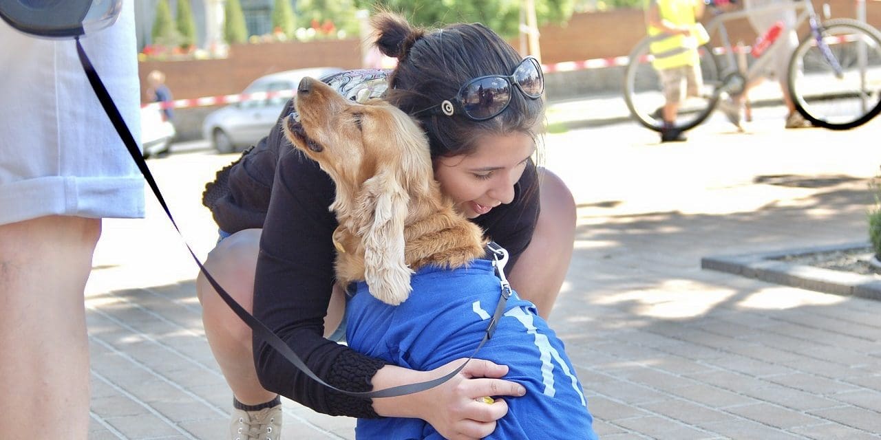 Community Christmas Movies at Berinba fundraising Student’s Service Dog 