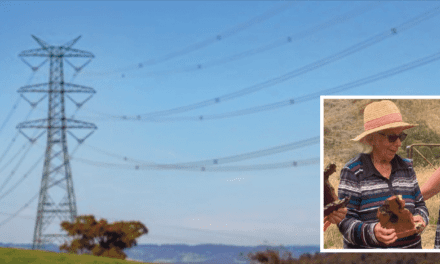 Locals fight for undergrounding Hume Link powerlines