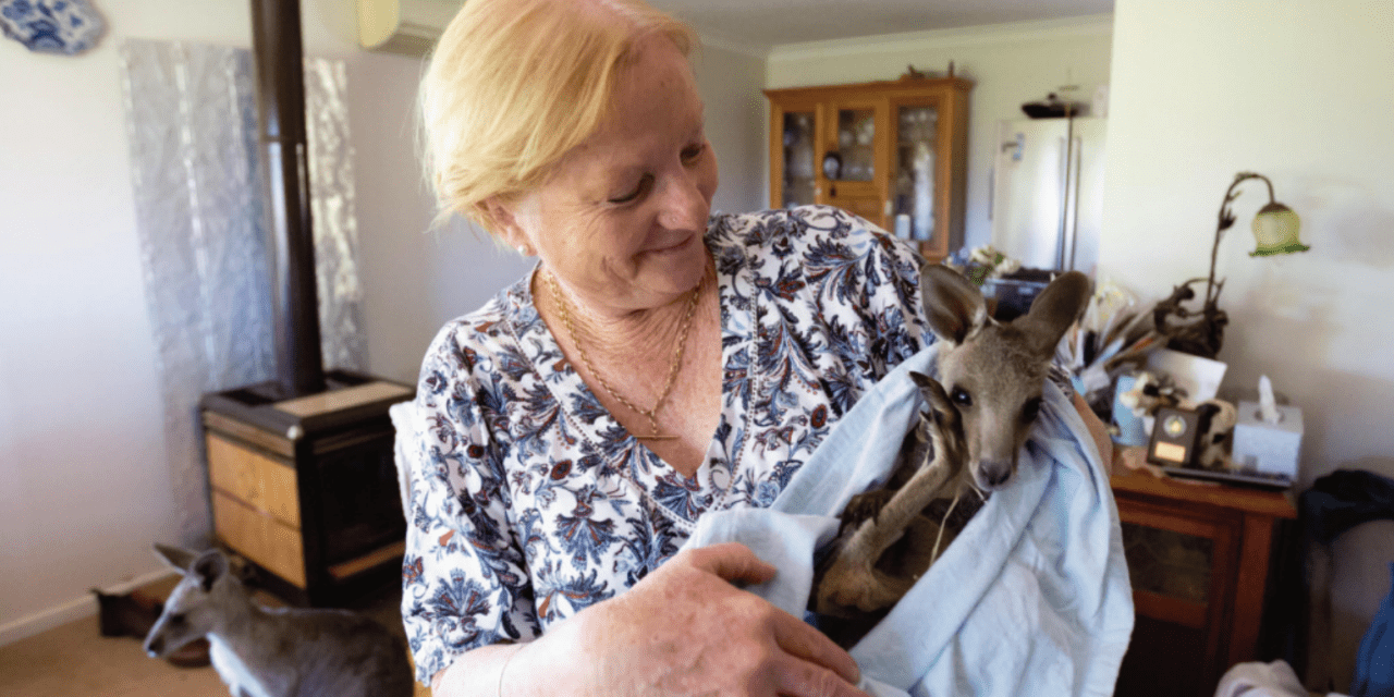 The Yass Valley mother Stepping up for Our Native Wildlife