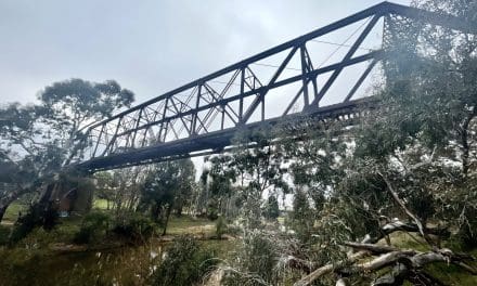 Yass Rail Trail Gains Momentum