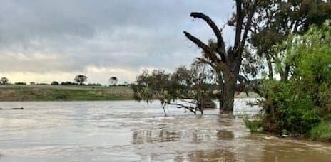 Body found in Yass River – Police state it has been identified as missing woman Tina Quinn